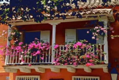 Balcony with Flowers