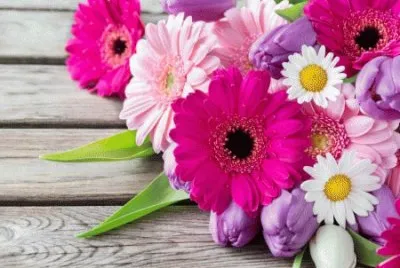 Flowers