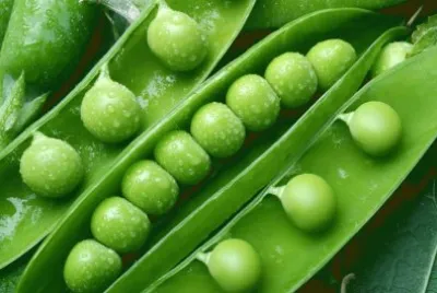 petits pois