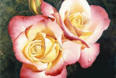 פאזל של Rose