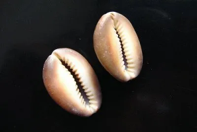 BÃºzios Fechados