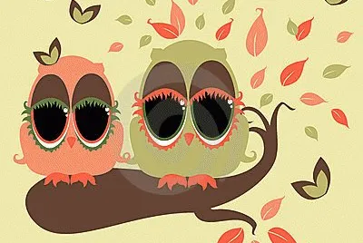 Owls