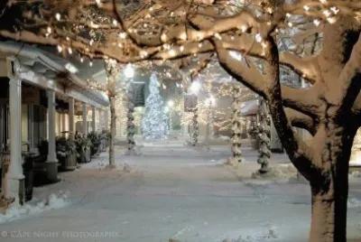winter