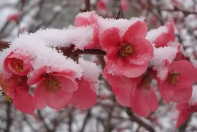 winter