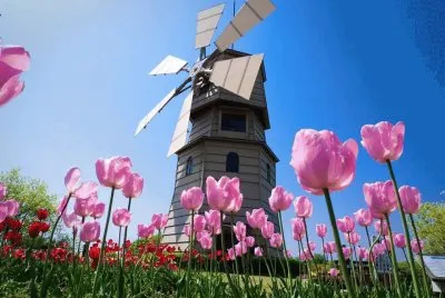 spring