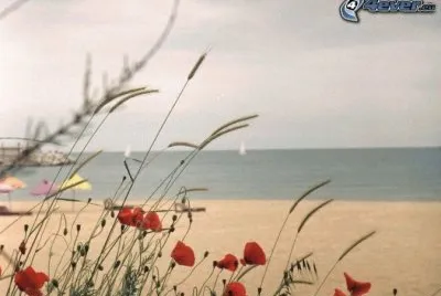 plage
