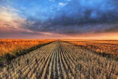 פאזל של Farmland