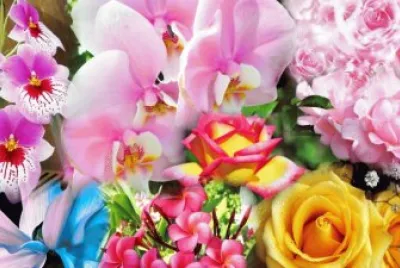 Flower Collage