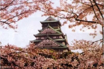 45 jigsaw puzzle