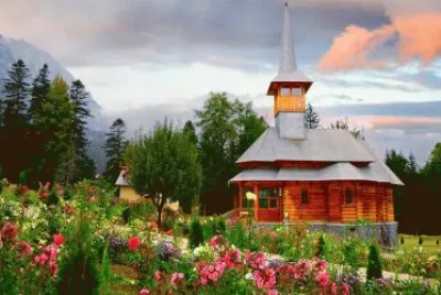 Wild Flowers around the Church