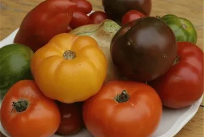 tomates