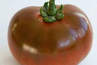 tomates