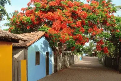 CaraÃ­va - Bahia.jpg