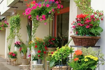 FloristerÃ­a en BretaÃ±a (Francia) jigsaw puzzle