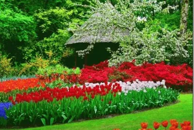 7 marÃ§o jardim