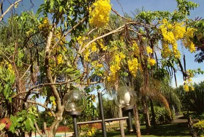 natureza