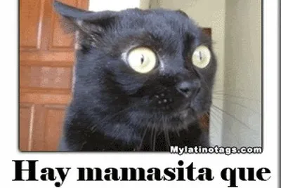 Que fea!!!