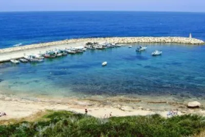 Picnic spot