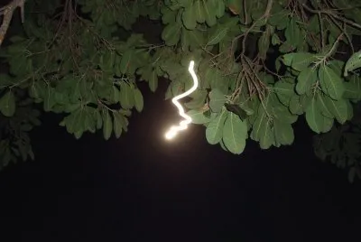 natureza