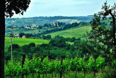 Heart of Chianti