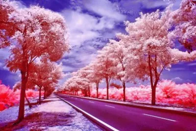 couleur jigsaw puzzle