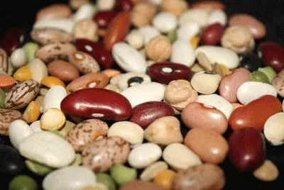 feijao jigsaw puzzle