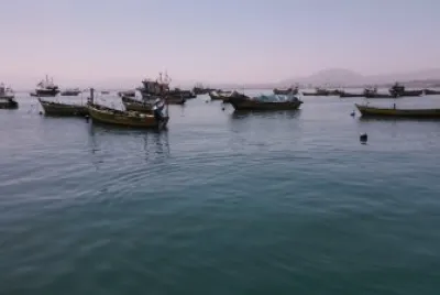 Botes Coquimbo