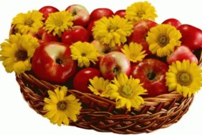 Apples Yellow Daisies