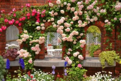 Rose Garden
