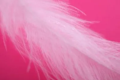 MARSU