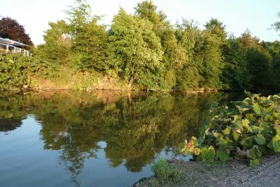 Lake