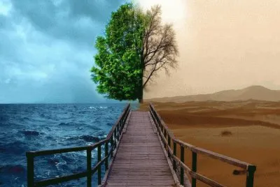 Scene