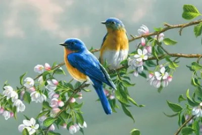 Springtime