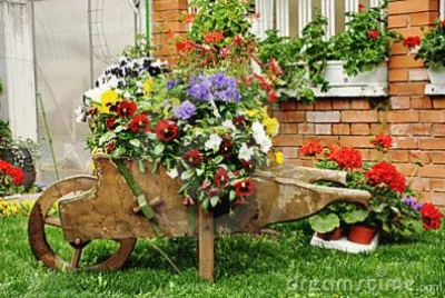 פאזל של Carrinho de mÃ£o