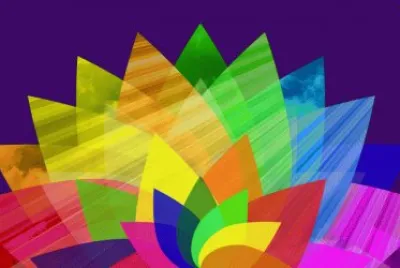 Colorful Flower