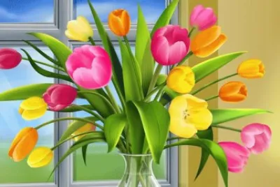 Tulips