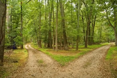 134