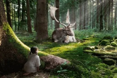 Fairytale Forest