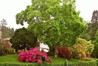 Jardines jigsaw puzzle