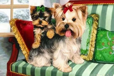 animais