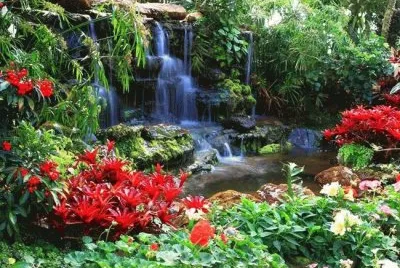 natureza