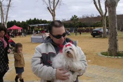 Con perrito
