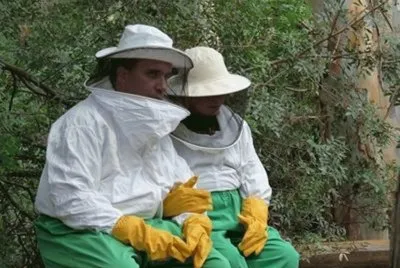 Socorro abejas jigsaw puzzle