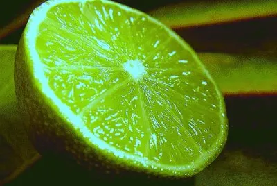 citron vert