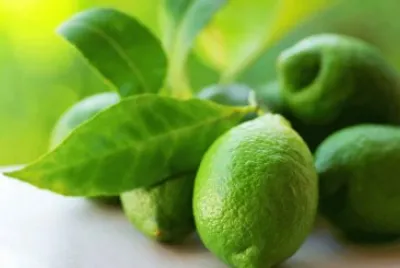 citron vert