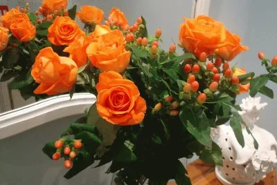 Rosas Laranja