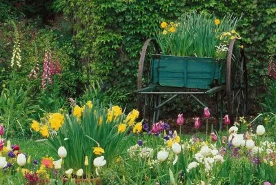 Springtime in the Garden