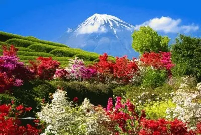 natureza