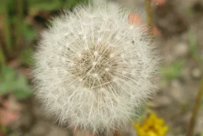 87
