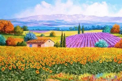 Country Summer
